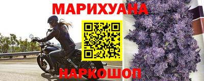 a pvp Будённовск