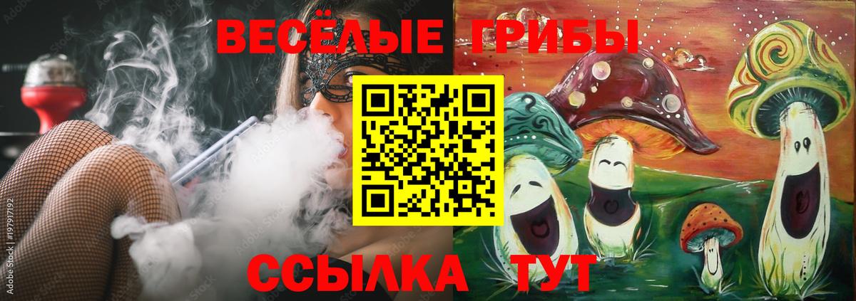 закладки  Галлюциногенные грибы Psilocybe  Вход с VPN  Липецк 